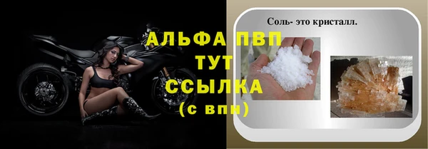 крисы Алексин