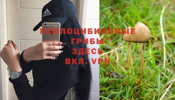 крисы Алексин