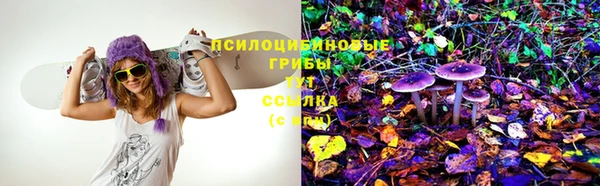 крисы Алексин