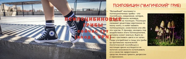 крисы Алексин