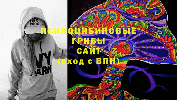 крисы Алексин
