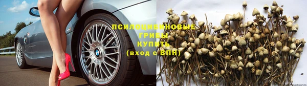 крисы Алексин